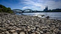 Germany records 12,500 heat-related deaths in 2026