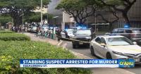 Honolulu police make murder arrest after fatal stabbing on Ke’eaumoku Street