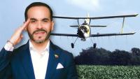 Colombia Wants to Spray Illicit Crops Again. The ’80s Offer a Warning 