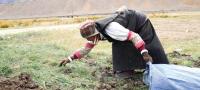 Climate Threatens Farming