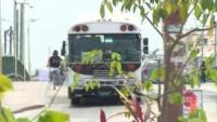 Belize Bus Association Warns of Breaking Point as Diesel Subsidy Decision Lingers