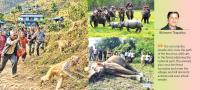 Grappling With Human-Wildlife Conflict