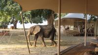 Why it’s time more solo travellers embraced Africa