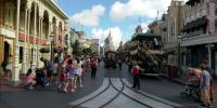 Florida Bug Infestation Overtakes Disney World Resort Rooms, Covers Beds and Floors
