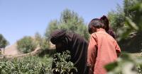 Afghan women face ‘worst women’s-rights crisis in the world’, MPs told