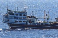 Pakistan FM urges intensified diplomacy to secure release of hostages held by Somali pirates
