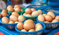 How to diversify your investments and avoid the most common traps - plus 18 fund tips