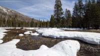 Climate Change Has Unleashed an Entirely New Type of Heatwave: The ‘Snow Eater’