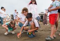 Caspian Sea Day celebrated in Baku with environmental and inclusive programme