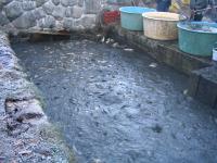 DOC // Strategic Programme for Aquaculture Sector 2026–2030 published in Official Journal