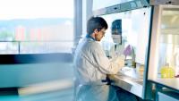 Swiss economy grows at fastest rate since 2021