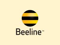 Beeline Kyrgyzstan invites bids to run 4 Bishkek retail outlets