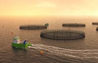 Falkland Islands residents call for referendum on salmon farming amid proposal for new installation