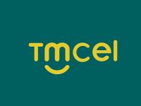 Mozambique starts work on Tmcel sale plan