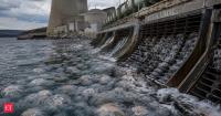 A massive jellyfish swarm clogged cooling-water filters at France’s Gravelines nuclear plant, forcing three reactors offline and cutting output at a fourth
