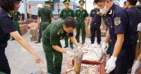 Vietnam police seize nearly 1.2 tonnes of ivory hidden in timber logs