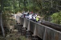 In A Hidden Hawaiʻi Gulch, A Wartime Secret Opens To The Public