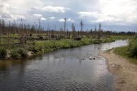 Denver Water backs wildfire and water protection ballot initiative