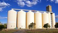 ‘Zimbabwe has enough grain’
