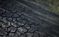 Scorching summer will cost France $11B to $17B, environment minister estimates