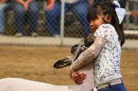 From barn to banner: Students bring their best to San Juan County Fair livestock shows