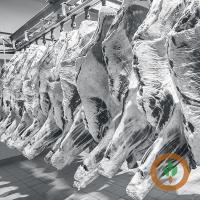 Economist says Cargill’s reopening of its Fort Morgan beef plant boosts cattle market competition