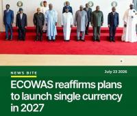 A Single Currency for West Africa: Promise, Risk and the Lessons of the Euro