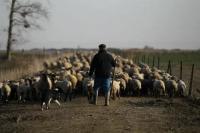 German Farmers' Union has warned of a risk of complete crop loss in the country's southern regions