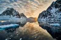 Antarctic krill fishery shuts early for second year running