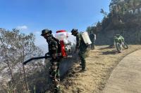 Indonesia cools 8 hotspots in Mount Bromo after active fires put out