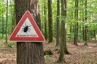 EMA to study potential vaccine for Lyme disease