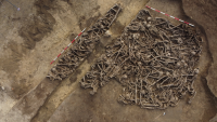 'The lance head was still inside the pelvis:' Mass grave found in Austria may hold casualties of unknown ancient Roman battle