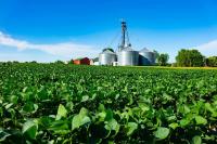 China deal gains soybean traction