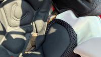 Sports star horrified after finding venomous snake in helmet while playing
