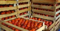 UFP Packaging invests $5.31M in Gaffney manufacturing operations