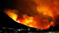 Croatian blaze forces thousands to flee as wildfires rage across Europe