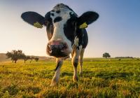 Senator Schwank Applauds Agricultural Innovation Grant Funding for Berks County