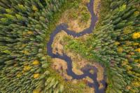 Nature Conservancy of Canada protecting area near Pukaskwa National Park