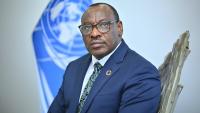 SADC can be a testing ground for turning African minerals into development – UN ECA