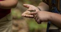 ‘Get their hands dirty’: Kentucky Forest Leadership Program educates youth about the great outdoors