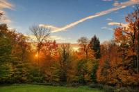 Cooler, Wetter Fall Ahead For Upstate New York, Almanac Says