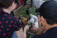 DATEBOOK: Explore Foothills agriculture during Open Farm Days
