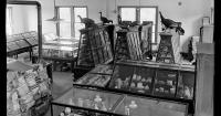 UK Art Museum announces Fall ’26 exhibitions