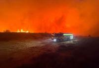 Forest still open for business despite ongoing wildfire, say tourism chiefs