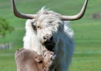Alberta Open Farm Days goes this weekend