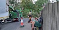 Arterial road impassable for five hours due to fallen tree
