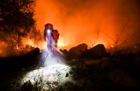 California's Timber Fire hits 4,000 acres in Big Sur as evacuations, park closures mount