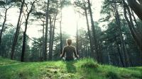 How to make your nature walks even more restorative, according to science