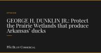 GEORGE H. DUNKLIN JR.: Protect the Prairie Wetlands that produce Arkansas’ ducks