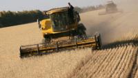 Ukraine rapidly running out of grain storage space